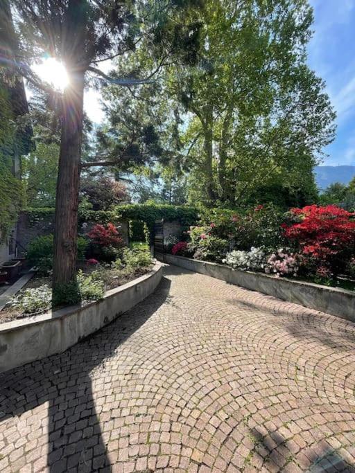 Domus Aurea Lejlighed Bolzano Eksteriør billede